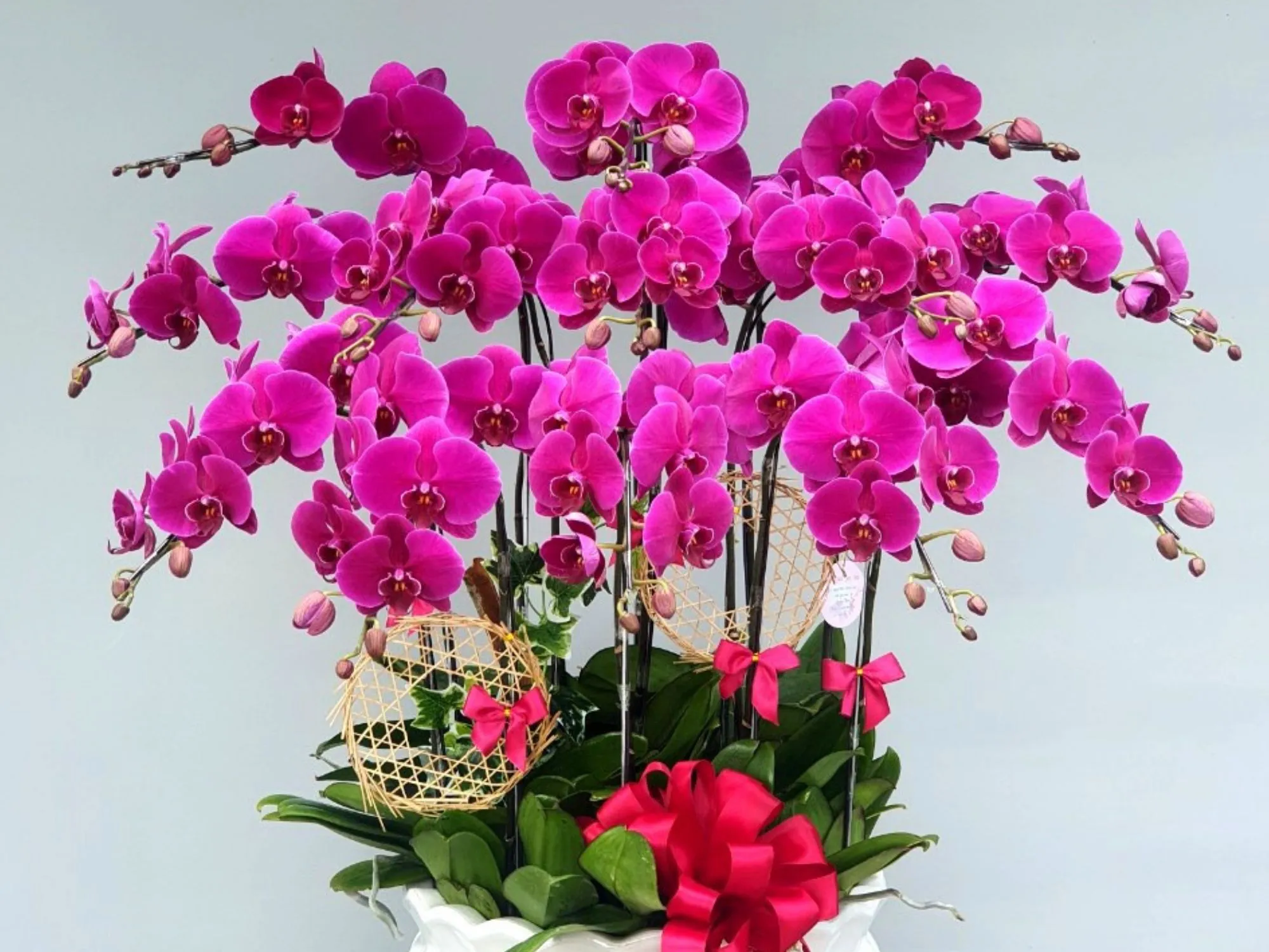 Gợi ý những mẫu hoa tặng mẹ ý nghĩa nhất - Shop hoa tươi Thái Bình