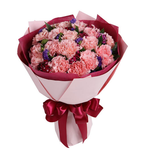 Hoa cẩm chướng tượng trưng cho những đức tính cao quý của người mẹ