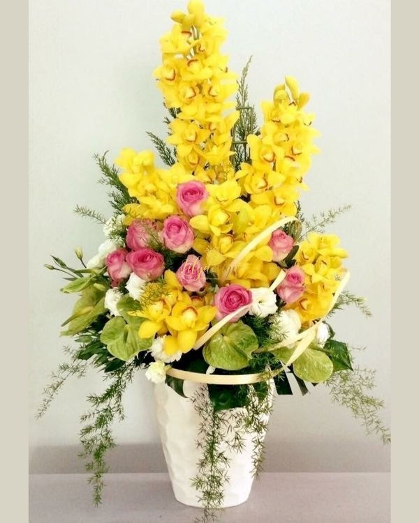 Hoa địa lan - mẫu hoa tươi tặng ngày tết sang trọng