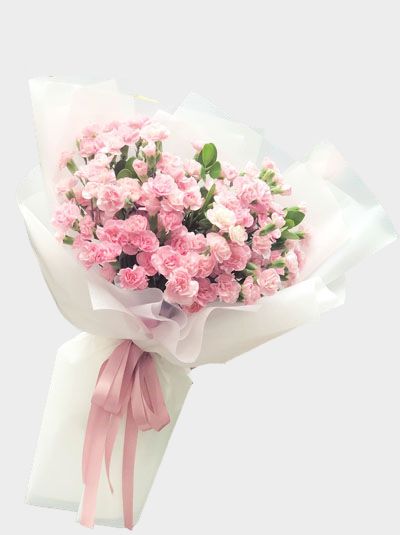 Mẫu Hoa chúc mừng sinh nhật mẹ đẹp và ý nghĩa tại shop hoa tươi thái bình